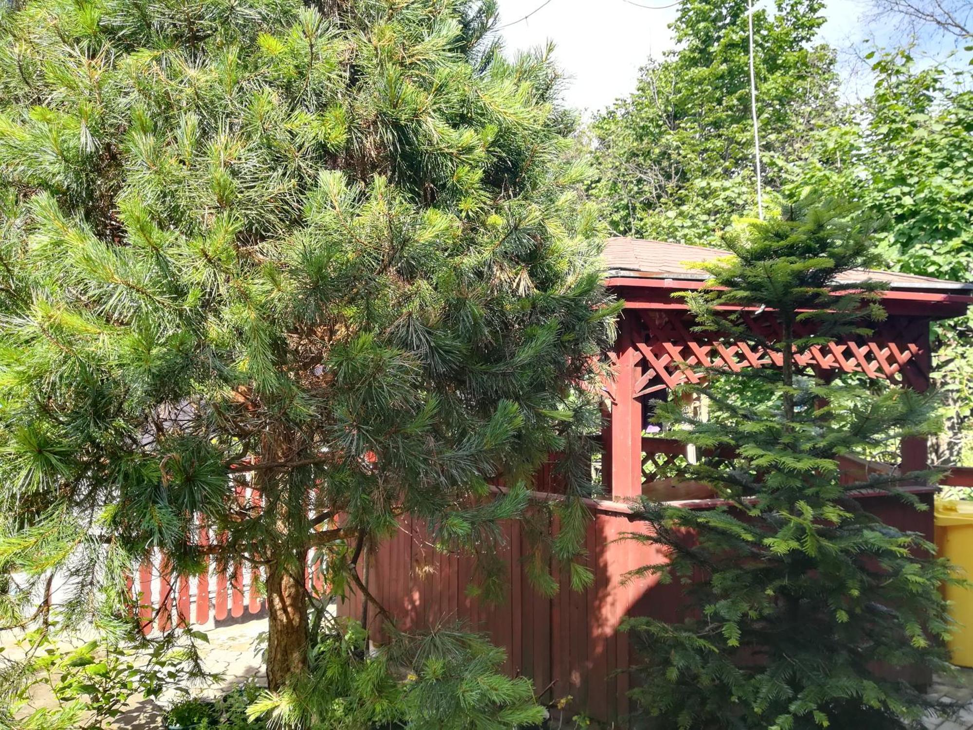 Ferienwohnung Privát Erika Liptovský Ján Exterior foto